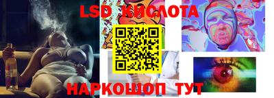 ГАЛЛЮЦИНОГЕННЫЕ ГРИБЫ Обь
