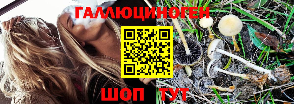 Псилоцибиновые грибы GOLDEN TEACHER  Псилоцибиновые грибы Magic Shrooms  Вход с VPN  Сегежа 